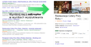google street view mkorpka gigapanoramy skuteczna reklama w google
