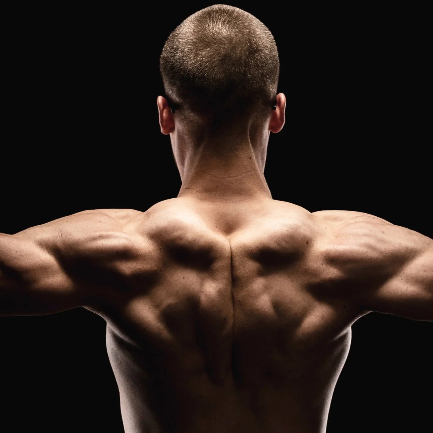 Sesja fitness trenera personalnego: umięśnione plecy w bocznym świetle na czarnym tle